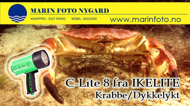 ikelite.com