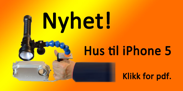 iphone5