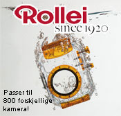 rollier
