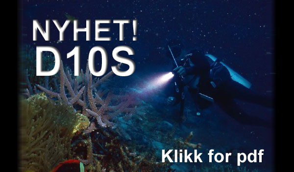 d10s
