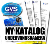 gvs