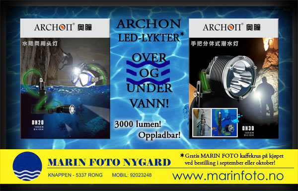 archon