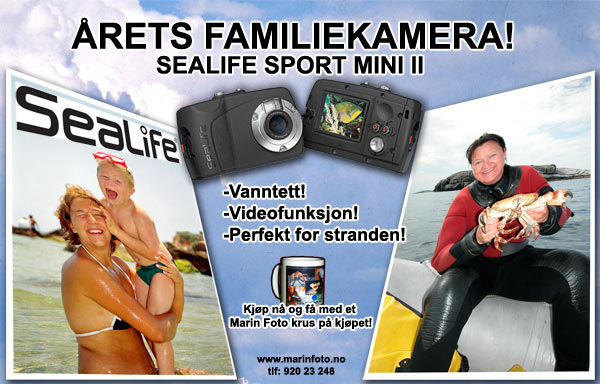 årets