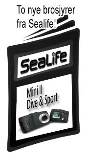 sealife
