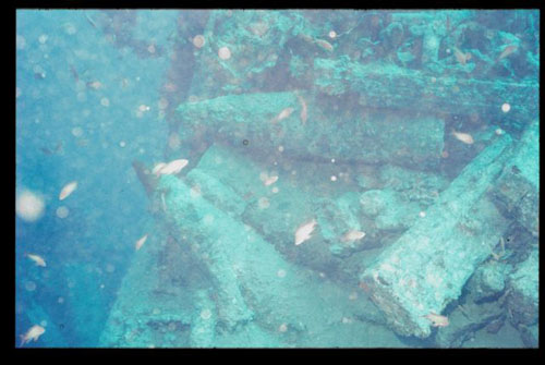 Thistlegorm11
