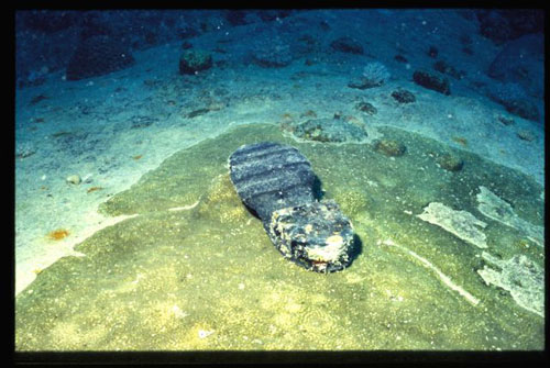 Thistlegorm14