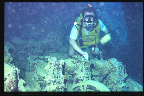 Thistlegorm15