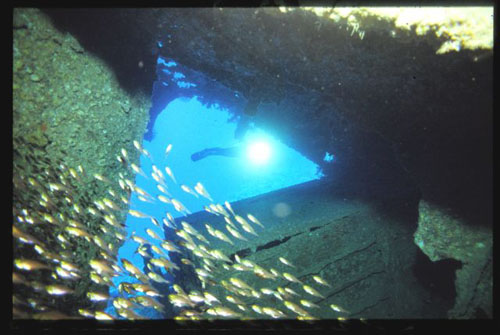 Thistlegorm25