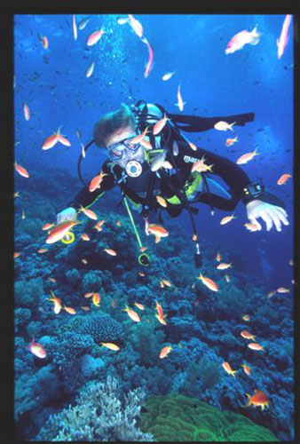 Thistlegorm28