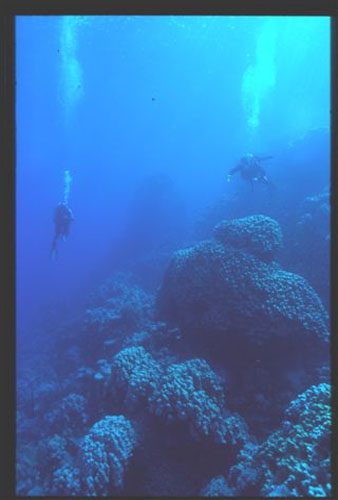Thistlegorm32