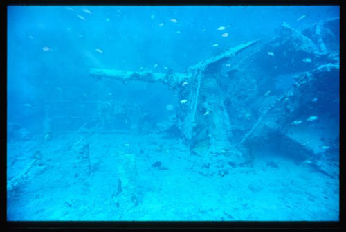 Thistlegorm4