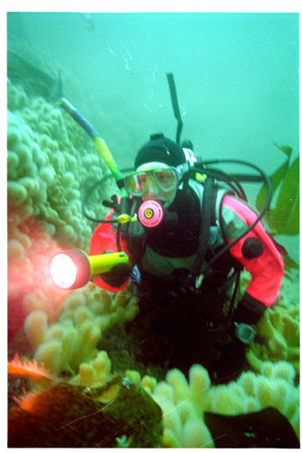UWbilder19