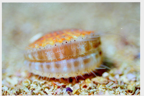 UWbilder4