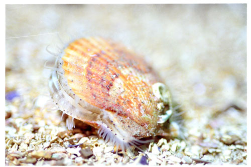 UWbilder5