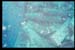 Thistlegorm11