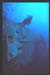 Thistlegorm12