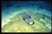 Thistlegorm14