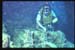 Thistlegorm15