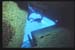Thistlegorm18