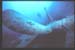 Thistlegorm19