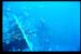 Thistlegorm20