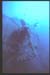 Thistlegorm21