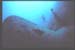 Thistlegorm3