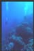 Thistlegorm32