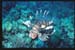 Thistlegorm34
