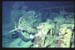 Thistlegorm7