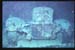 Thistlegorm9