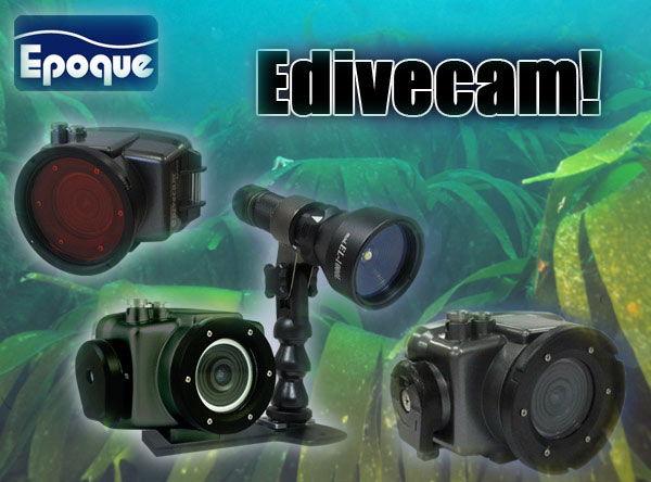 edivecam