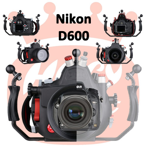 nikond600
