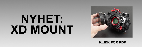 xdmount