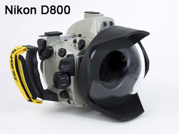 nd800
